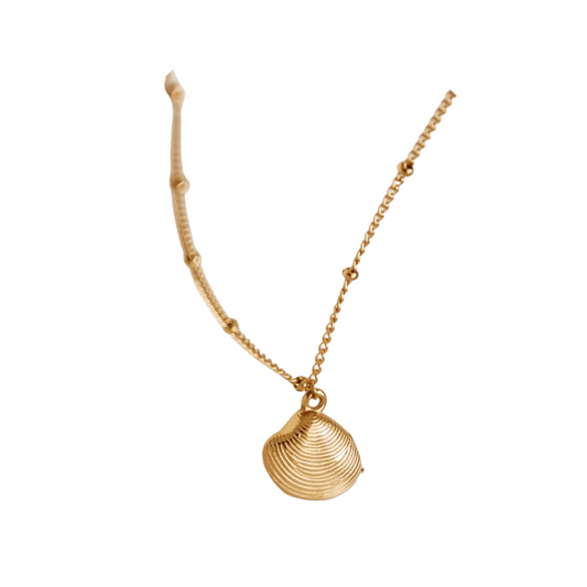 Shelly Necklace